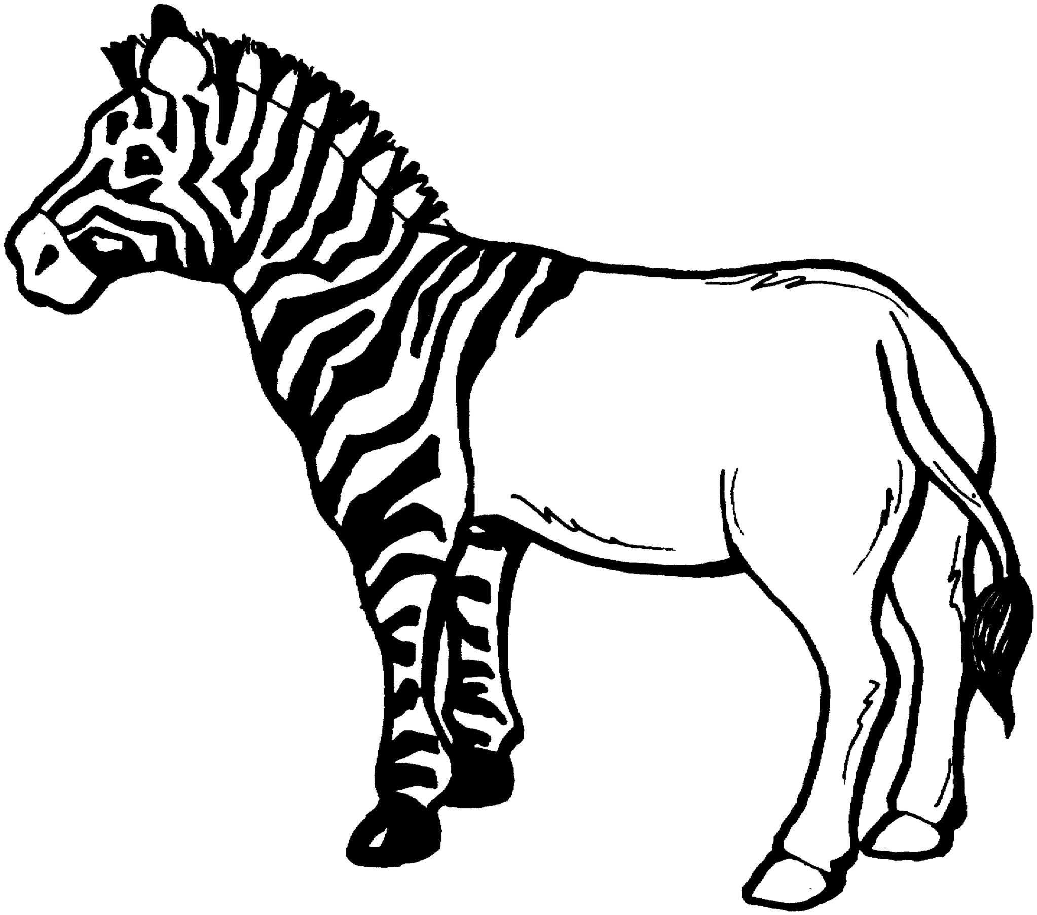zebra black and white clipart  free download on clipartmag