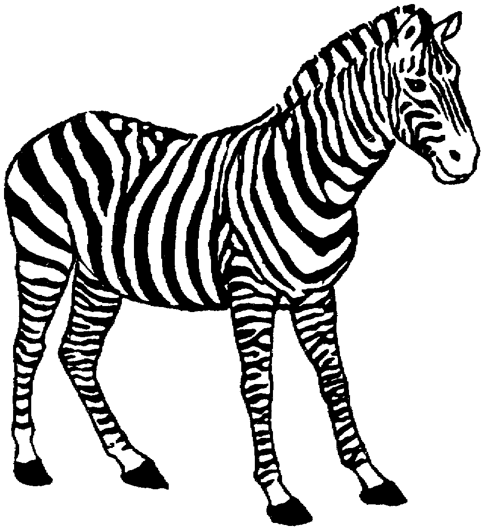 Zebra Coloring Pages | Free download on ClipArtMag