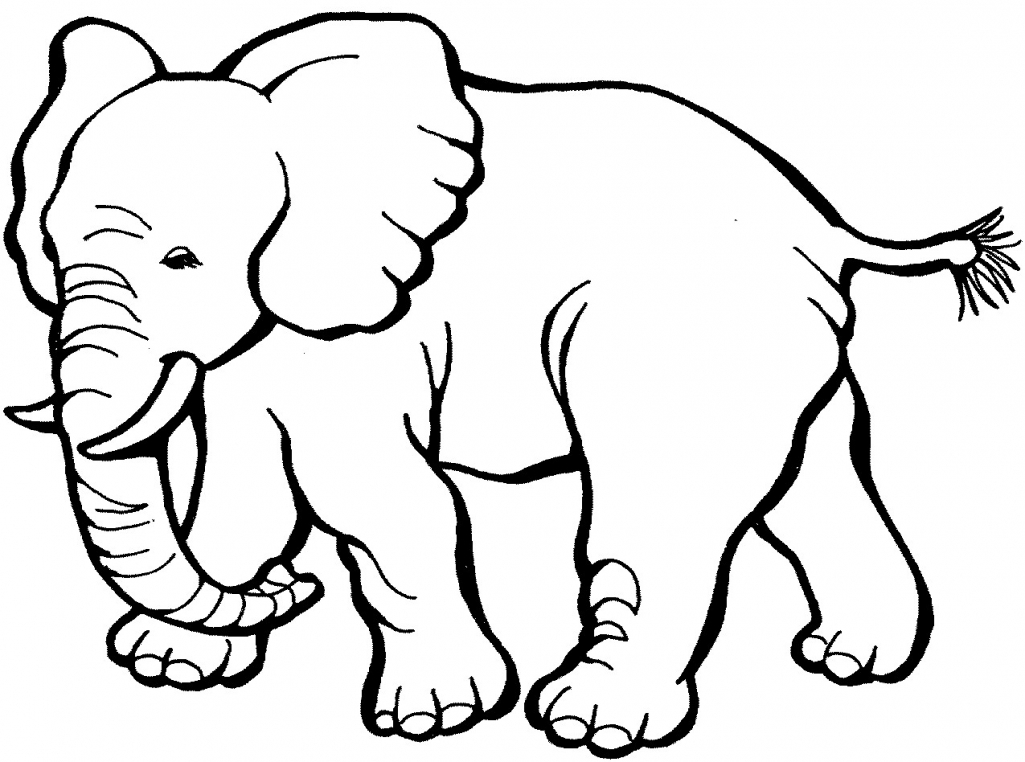 Zoo Coloring Pages | Free download on ClipArtMag