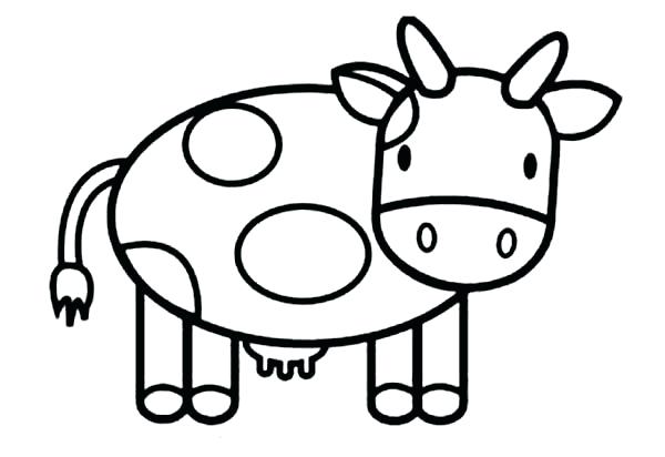 600x412 Draw Cow Cow Drawing For Kid Draw Online Mobile