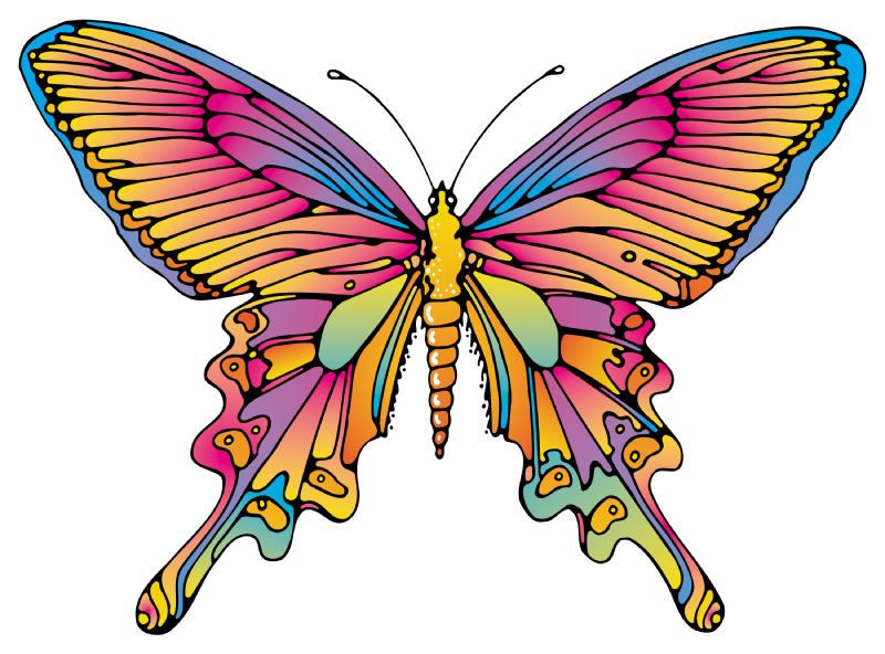 800x592 Butterfly Clip Art Butterflies Butterfly Art