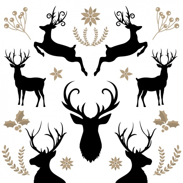 626x626 Reindeer Vectors, Photos And Free Download