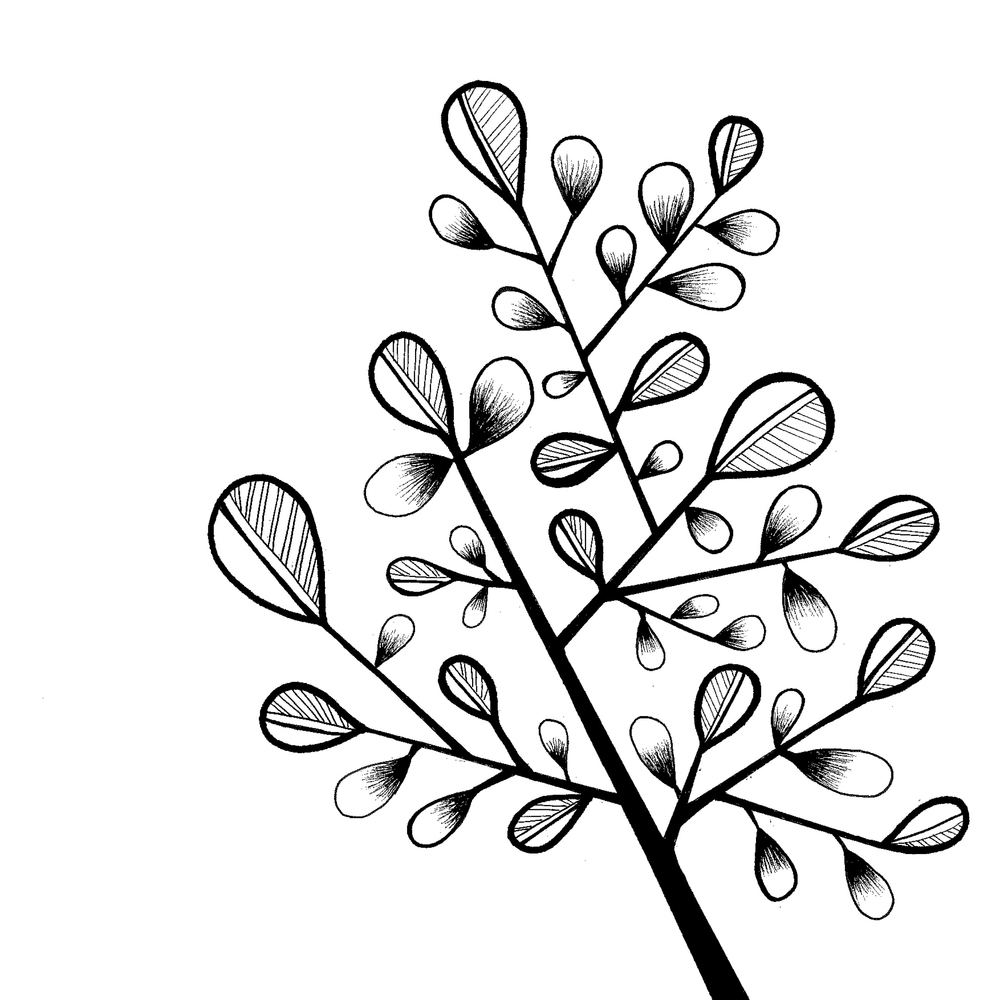 1000x1000 drawings sophie sarkar