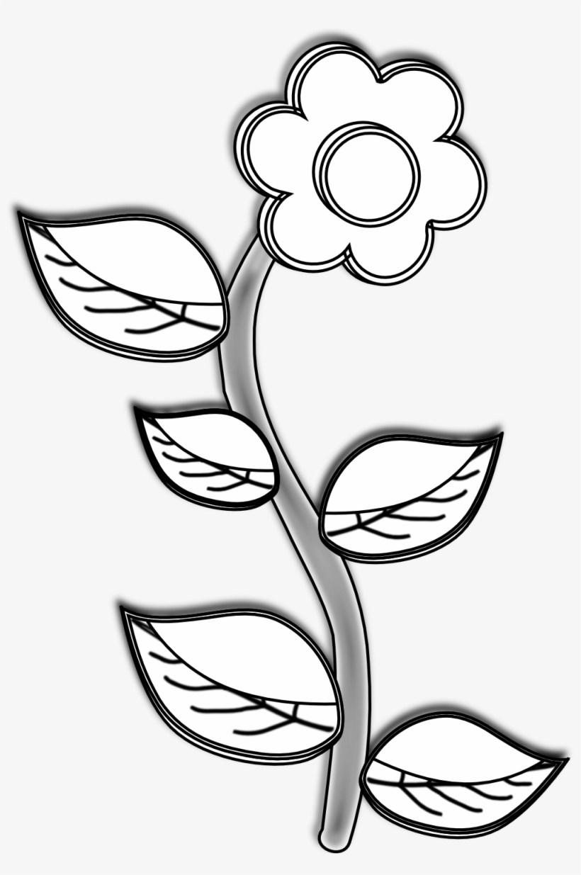 820x1235 Flowers For Flower Drawings In Black And White