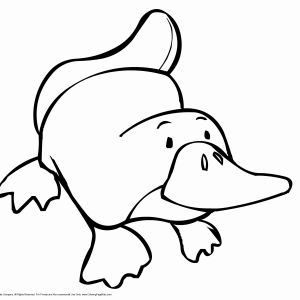 300x300 Coloring Pages Best Of Coloring Pages Drawing Abc Games