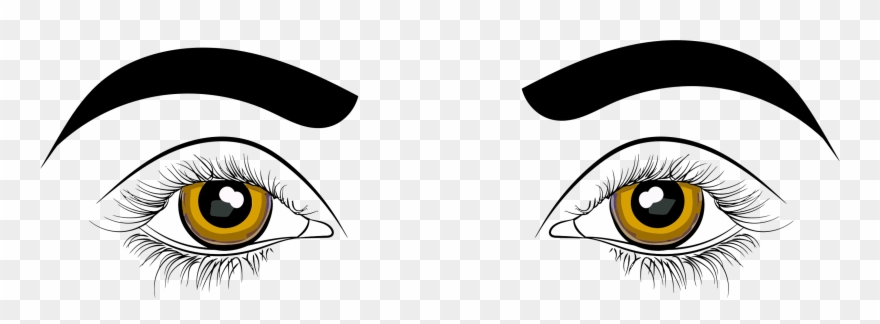 880x324 Human Eye Drawing Clip Art For Liturgical Year Cartoon Clipart