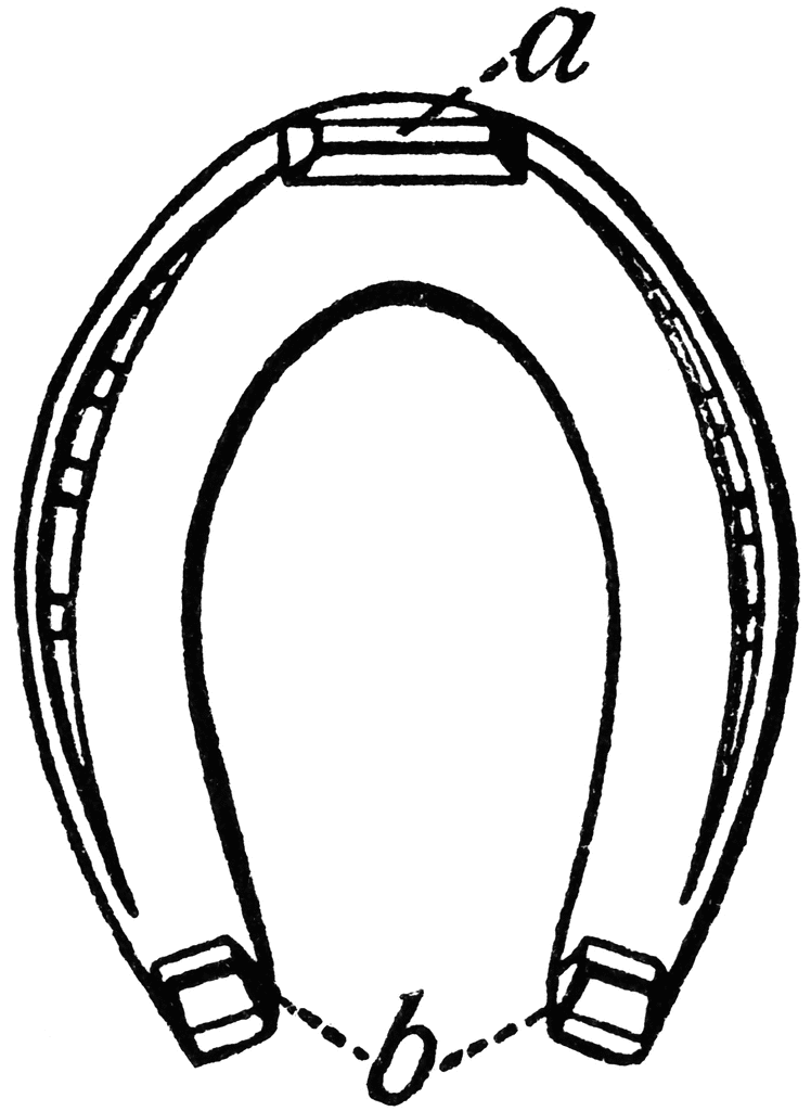 748x1024 Horseshoe Drawing