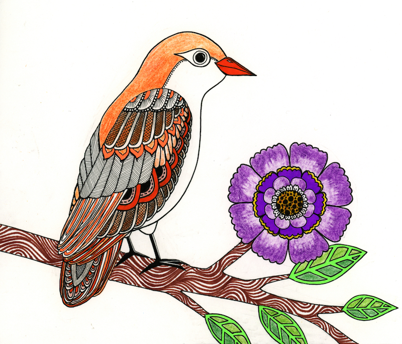 800x684 Drawing Of Zana Bass