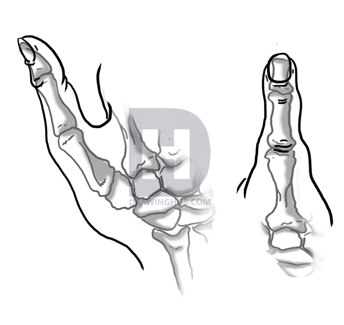 700x661 How To Draw Hands, Step