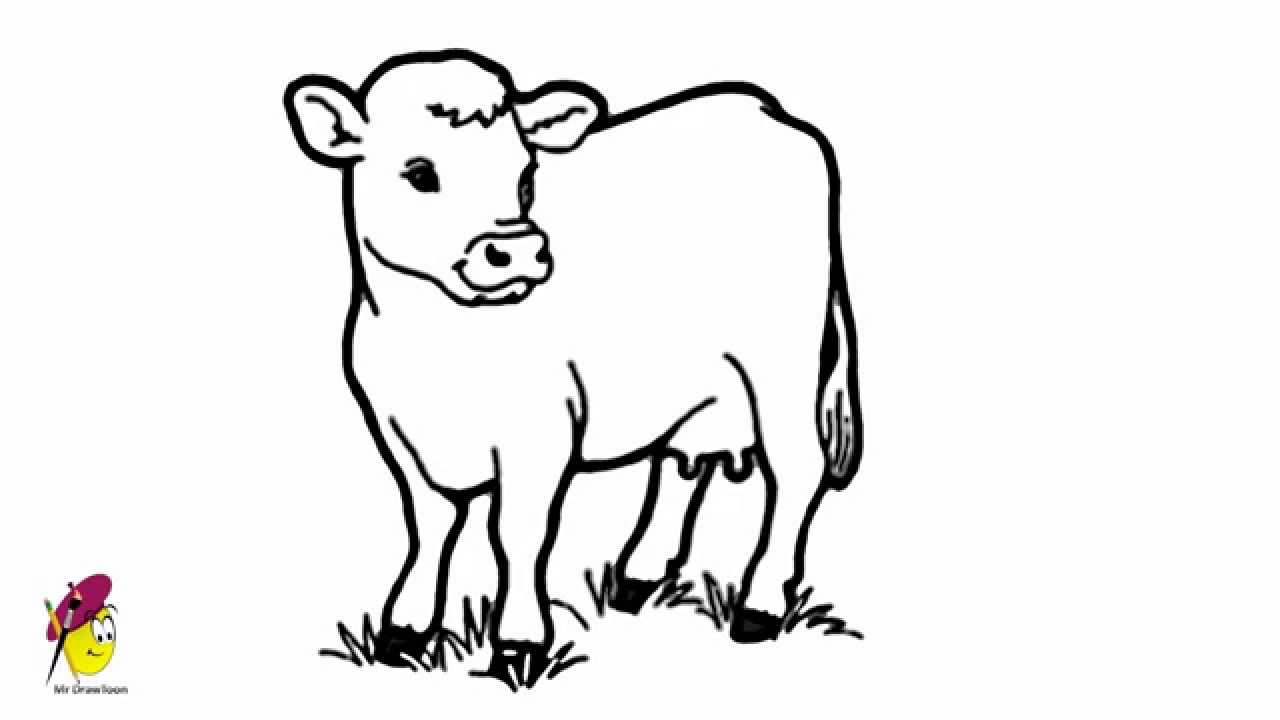 1280x720 Cow Drawing Easy Tutorials On How To Draw A For Kids Coloring