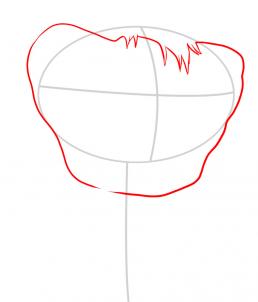 258x302 Draw Beans, Step