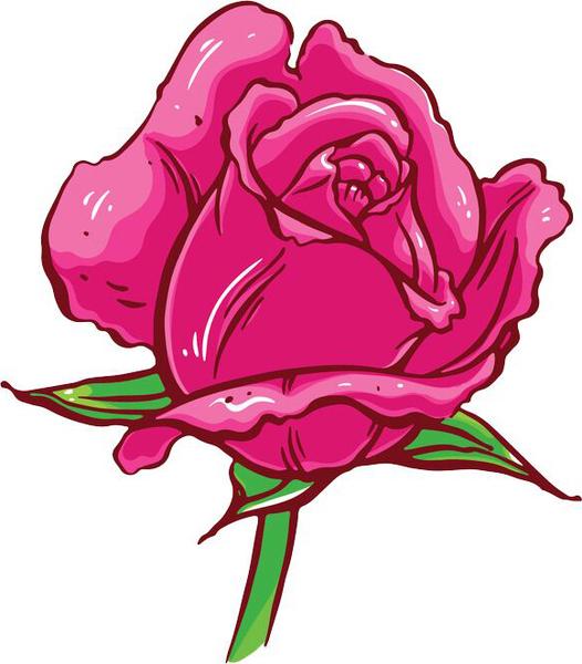 526x600 Delicate Tattoo Style Pink Rose Drawing