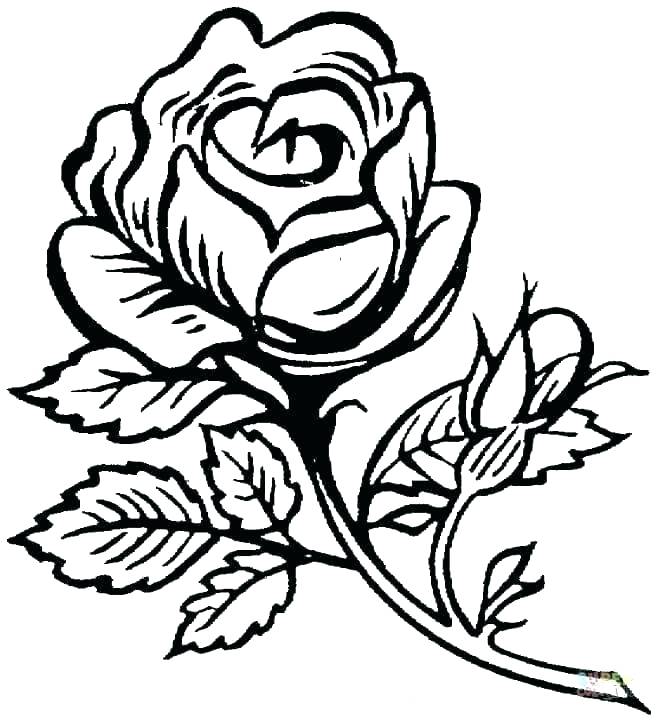 656x720 Images Of Coloring Pages For Adults Roses