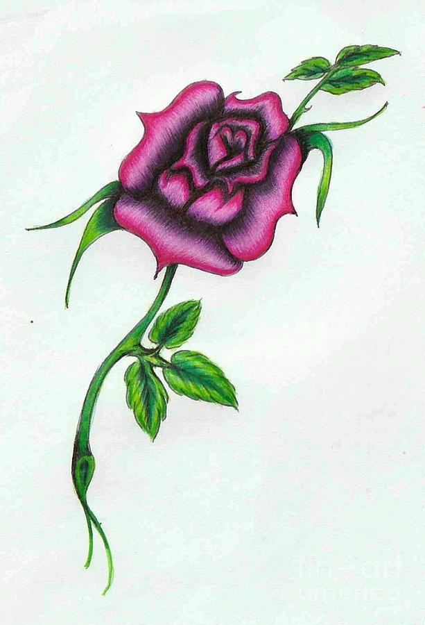613x900 Rose Drawing