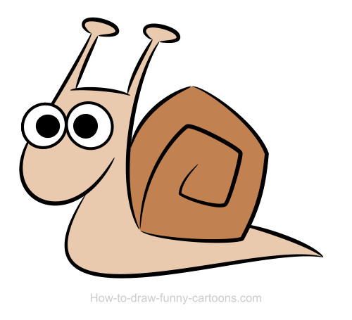 500x455 Snail Drawings