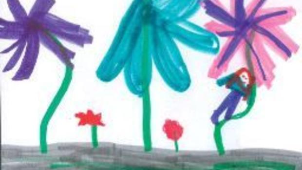 620x349 Tree Climber Brainerd Dispatch