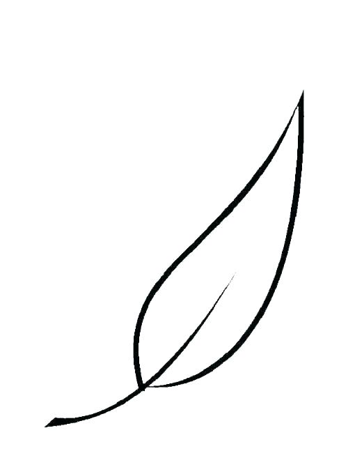 3 Leaf Clover Drawing