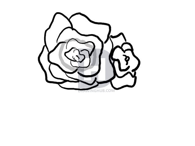 640x480 How To Draw A Basket Of Roses, Step
