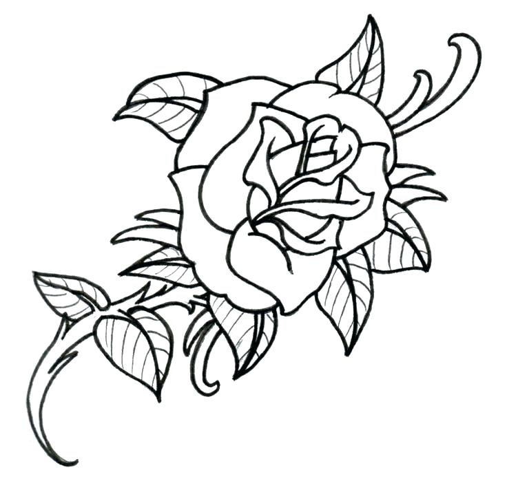 736x699 Simple Rose Drawing