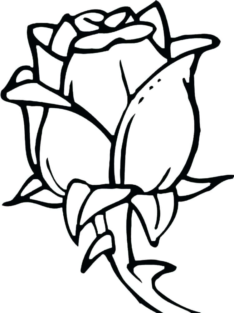 750x1000 Coloring Pages For Year Olds Drawing For Year Coloring Pages