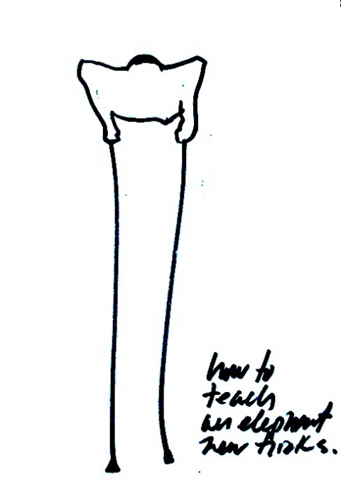 480x707 Alexander Viscio Drawingsproposals