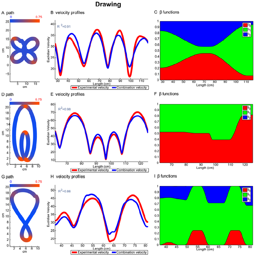 850x855 Examples From The Drawing Experiment Every Row Shows An Example