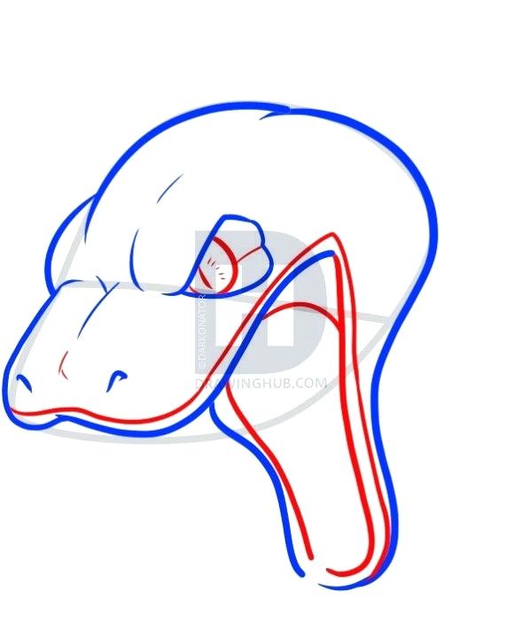 598x720 Draw Snake Snake Drawing Draw Snake Images