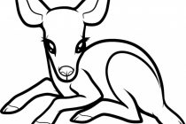 210x140 Tag Drawing Easy Animals