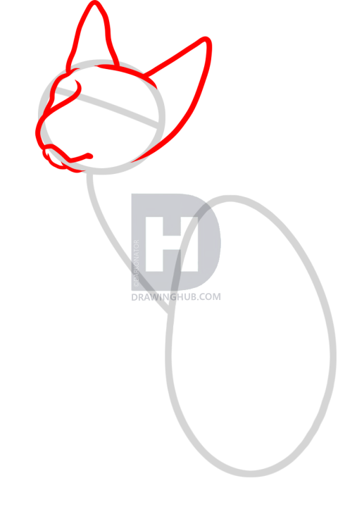 507x720 How To Draw A Sphynx Cat, Step