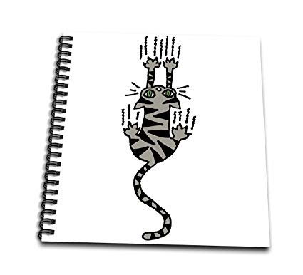 425x386 Rose Funny Grey Tiger Cat Raking Claws Trying