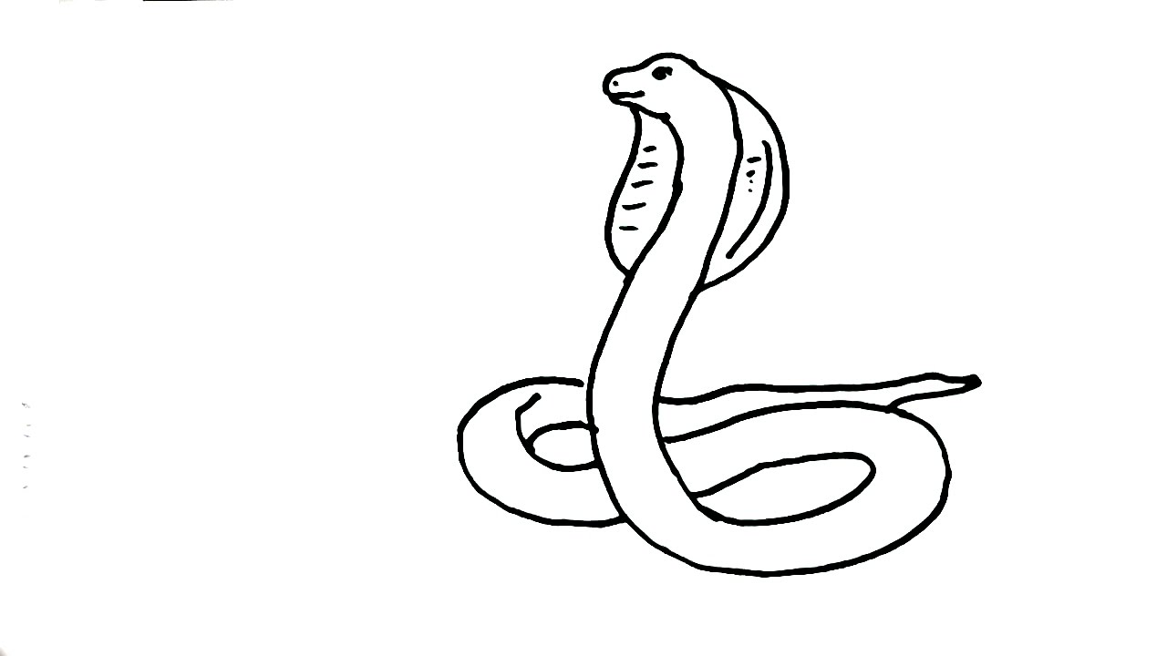 Легкий рисунок змей. Змея рисунок. Рисунок змеи легкий для срисовки. Змея карандашом. Змея карандашом для срисовки.