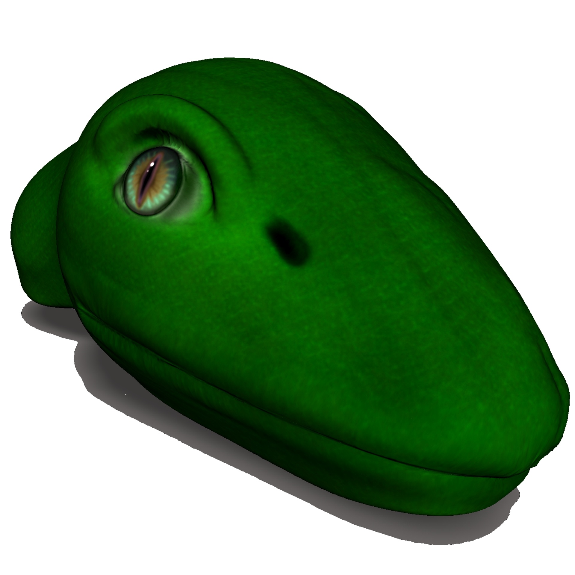 1920x1920 Green, Snake, Head, Isolated, White