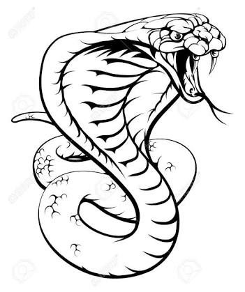 351x419 Image Result For Serpiente Infinito Illusion Art Snake