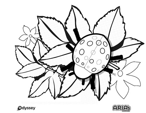 500x386 Coloring Odyssey Toys