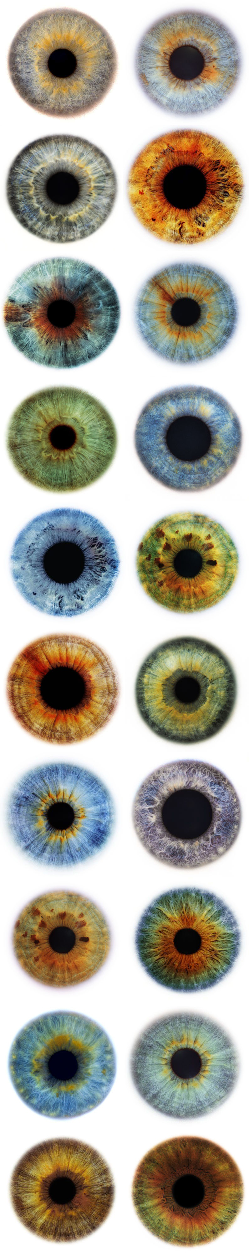 796x4000 disegno occhi, occhi