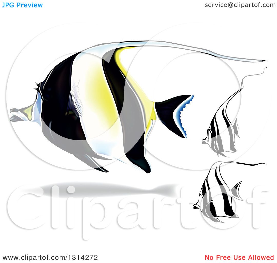 1080x1024 clipart of and cartoon moorish idol marine fish