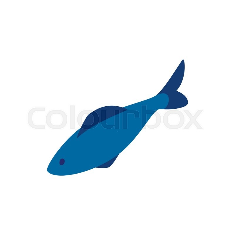 800x800 Herring Fish Icon In Isometric Stock Vector Colourbox