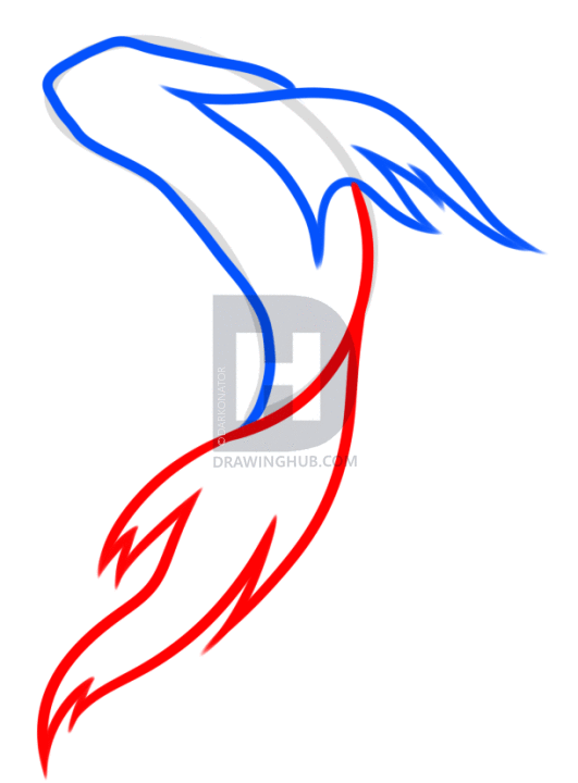 531x720 How To Draw A Fish, Step