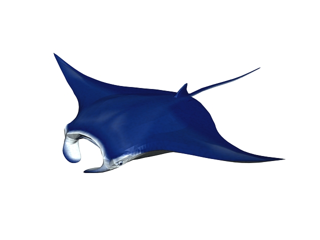 640x480 Manta Ray Model Max Free Download