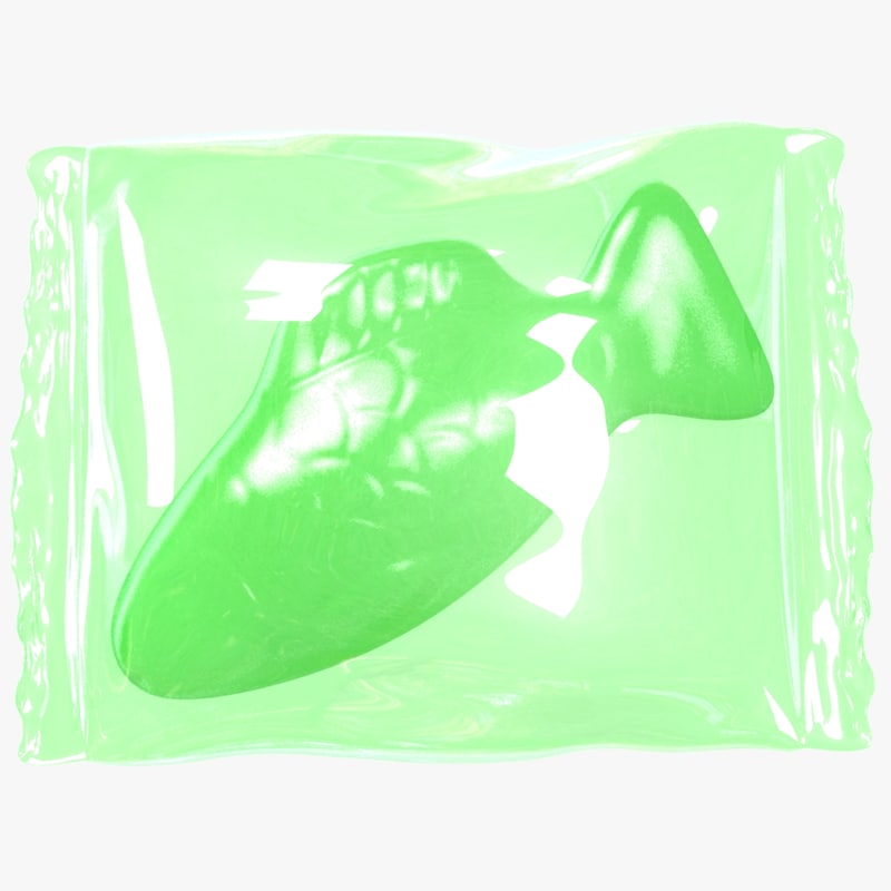 800x800 Wrapped Green Fish Model