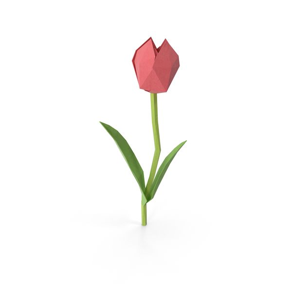 600x600 handy sites low poly, low poly tulips