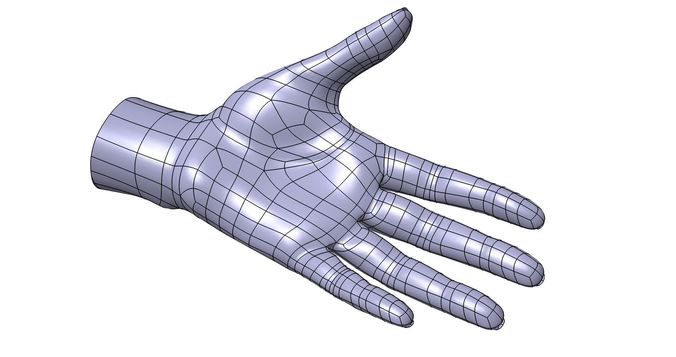 676x357 Cad Friendly Casual Woman Hand Model