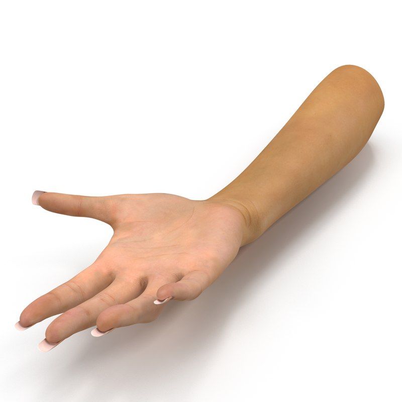 800x800 female hand rigged max anatomy hands, human