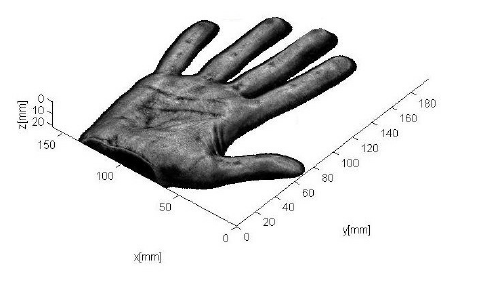 479x288 Rendering Of A Human Hand Download Scientific Diagram