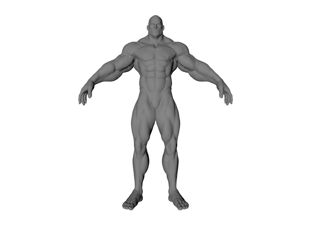 1024x768 Muscle Man Free Model In Anatomy