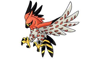 300x200 How To Draw Talonflame From Pokemon X And Y