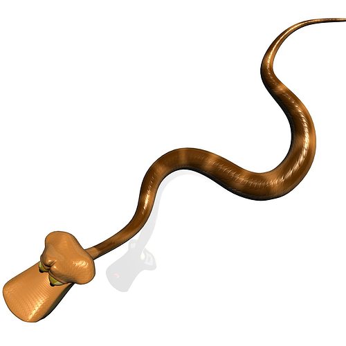 500x500 Cartoon Snake Rigged Model Cgtrader