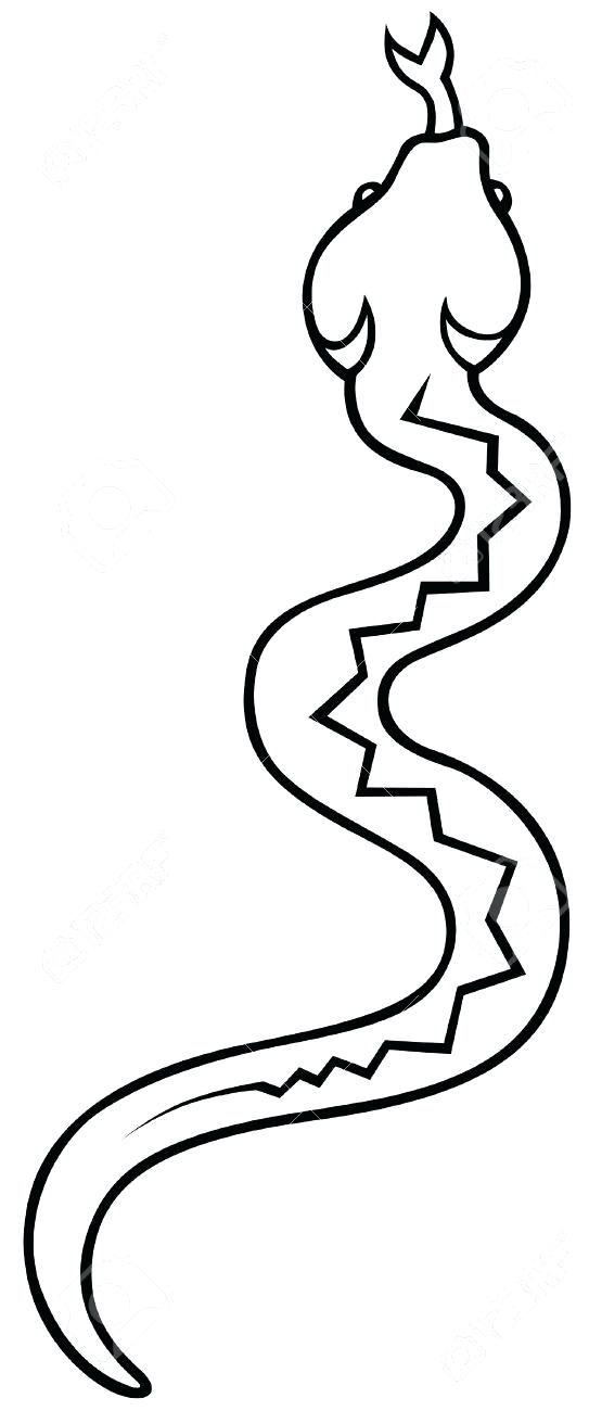 543x1300 Drawn Snake Hand Rendered Drawn Snake Easy Snake Drawing Video
