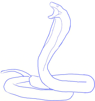 329x350 How To Draw A King Cobra Snake
