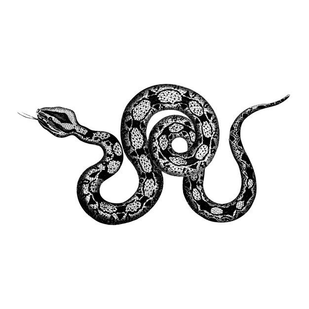 3d Snake Drawing | Free download on ClipArtMag